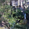 P1080712 三滝寺
