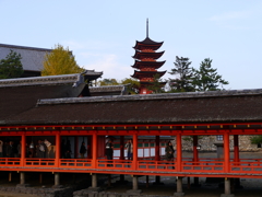 P1000337