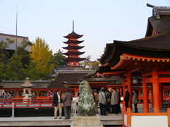 P1000352