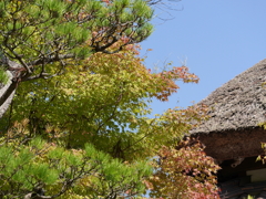 P1050450
