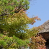 P1050450