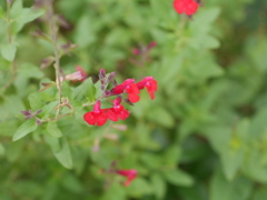 P1050546