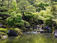 日本庭園