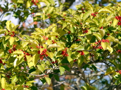 P1010318