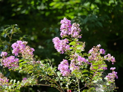 P1030304