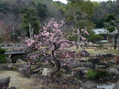 P1040867g