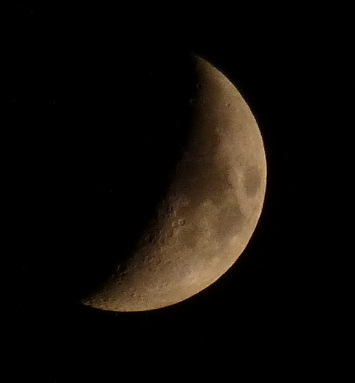 P1000825n