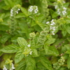 P1050536