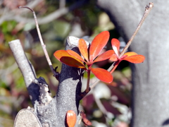 P1010294