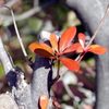 P1010294
