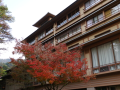 P1000207