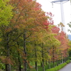 広島広域公園