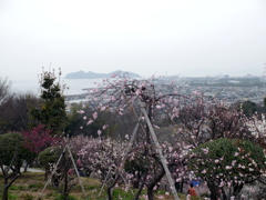P1060016g