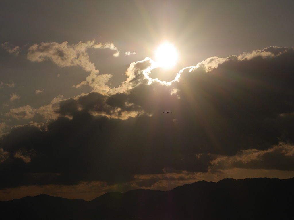 夕日