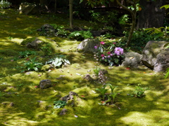 日本庭園