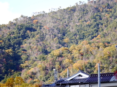 P1010332