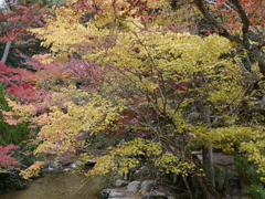 P1000248
