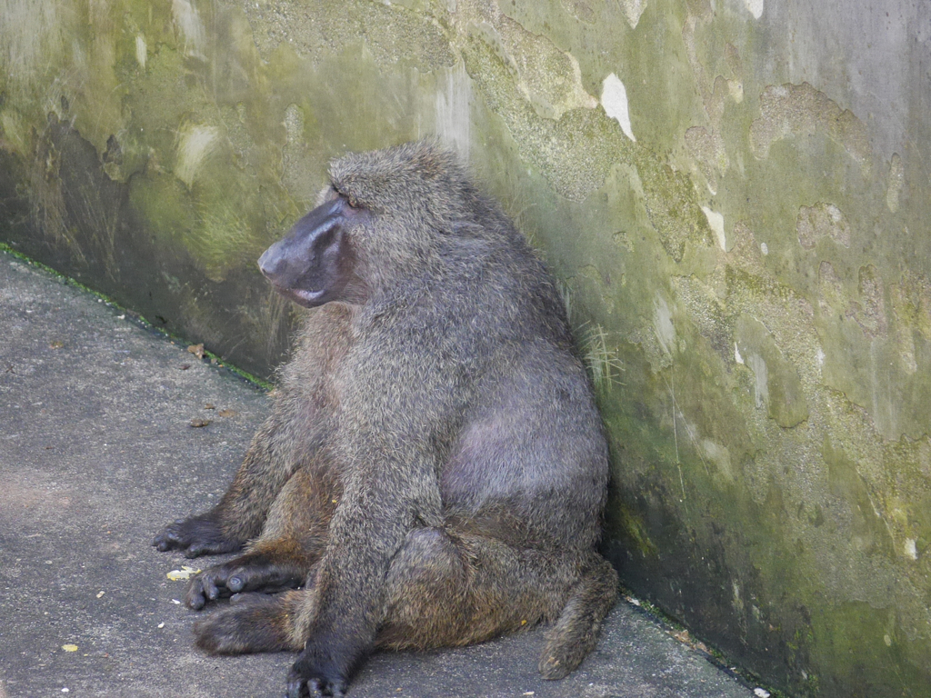 P1020383