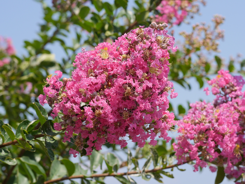 P1030169