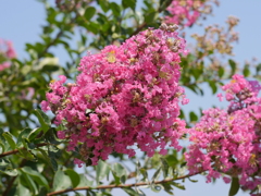 P1030169