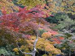 P1000268