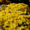 P1050458