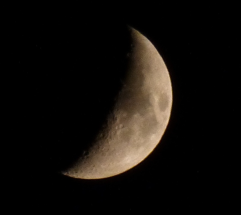 P1000827n