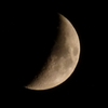P1000827n