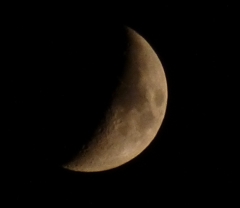 P1000824n