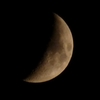 P1000824n
