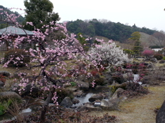 P1040869g