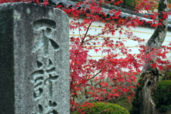 佛通寺の紅葉