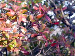 P1010291