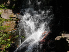 P1030405