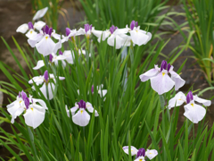P1010549