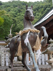 P1020651