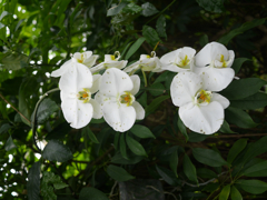 P1010645