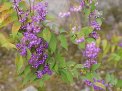 P1050541