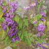 P1050541