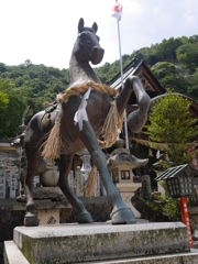 P1020748