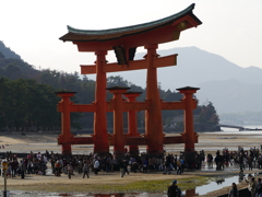 P1000171