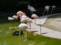 P1020271