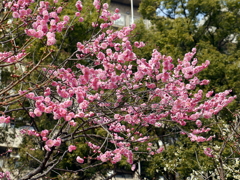 003_P1040648g
