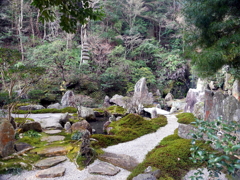 P1080685 三滝寺