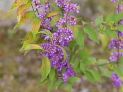 P1050542