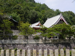 P1020753