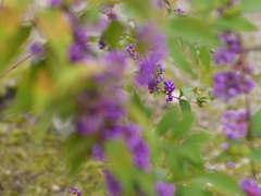 P1050545