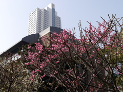 006_P1040651g