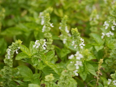 P1050567