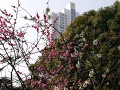 014_P1040675g